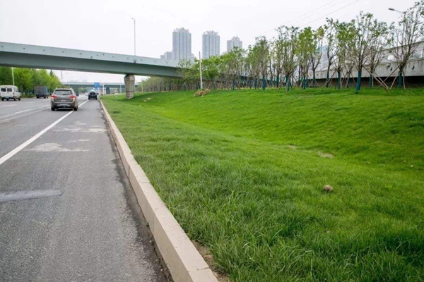 公路邊預制型混凝土攔水帶